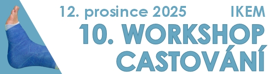 10. workshop castování